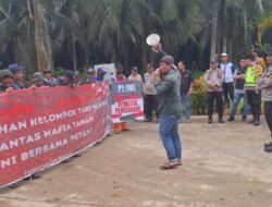 KT Mandiri akan Melakukan Penanaman Jagung Serentak di Lahan yang di Klaim oleh PT. Tri Mitra Lestari