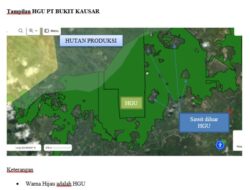 Terkait Laporan Aktivitas Perkebunan diluar HGU & Kawasan Hutan HGU oleh PT Bukit Kausar, KMPA : Kejati Jambi jangan Mandul