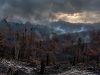 IMG-20261008-WA0021